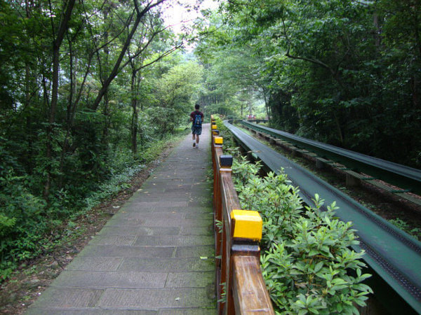 张家界天门山大自然鬼斧神工,到张家界天门山自由行攻略图片