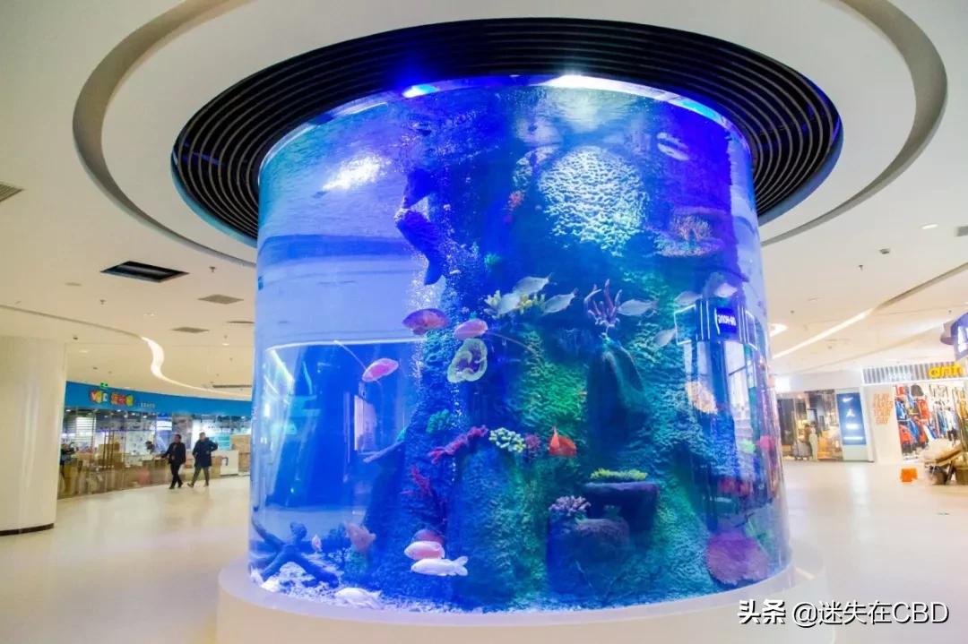 郑州二七地下商场能开业吗,郑州开业的商场