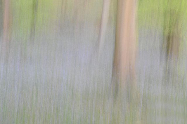 单反拍出特别的照片,单反拍出照片有光斑