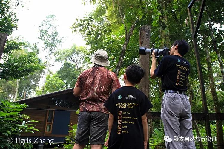 希望疫情早点结束能陪孩子多走走,待疫情彻底过去