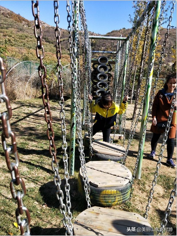 茶基地研学旅行,济南研学茶文化