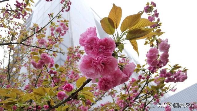 衡阳师范学院要改成大学了吗,衡阳师范学院扩招吗