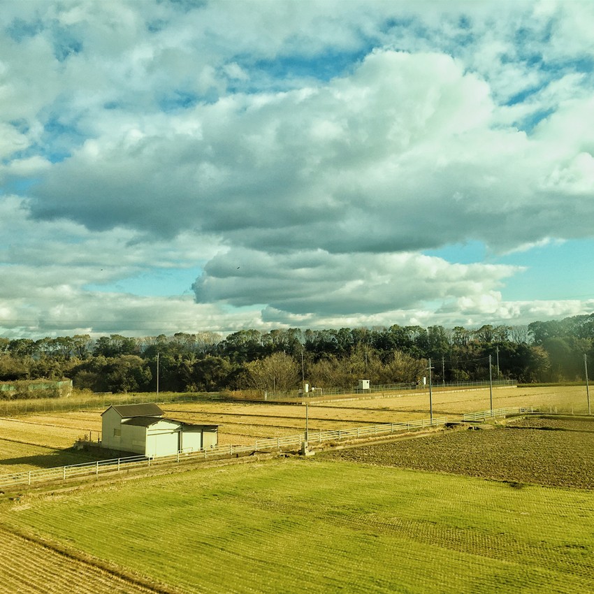 大阪自由行攻略必备清单,闭着眼睛也能随便过关