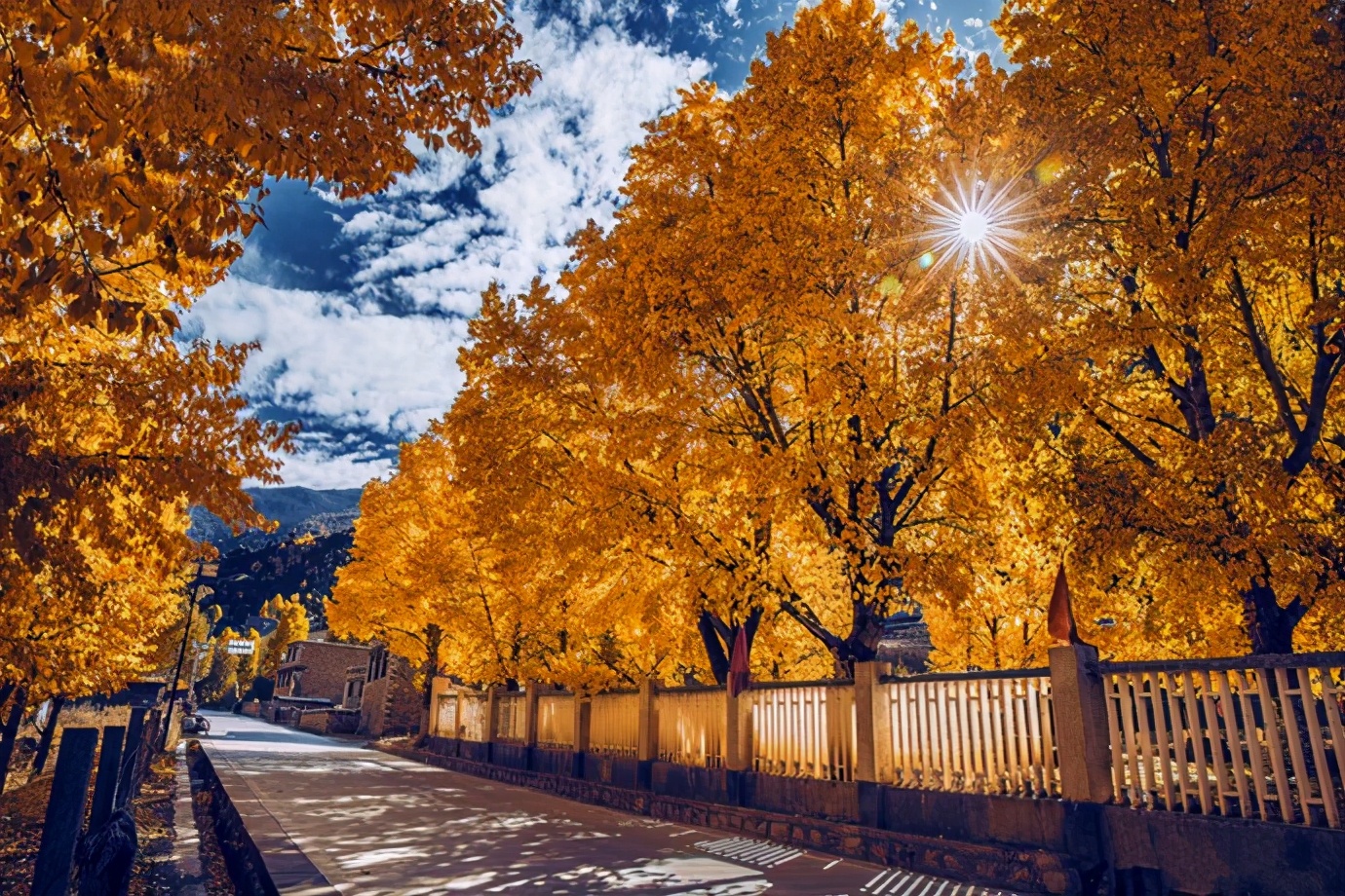 丹巴到新都桥雅拉雪山,新都桥到雅拉雪山一日游