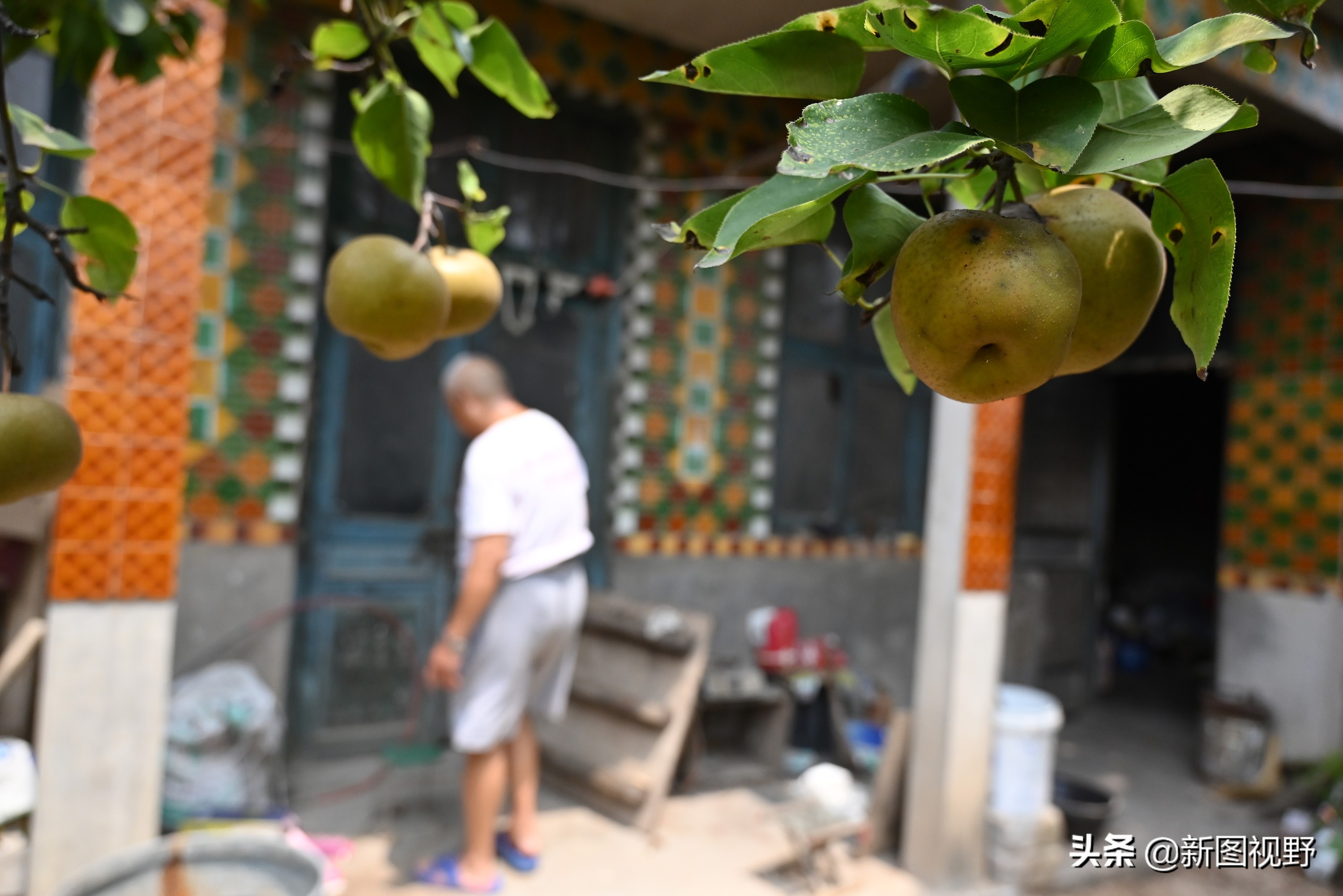 100岁爷爷一日三餐,100岁的爷爷长寿秘诀