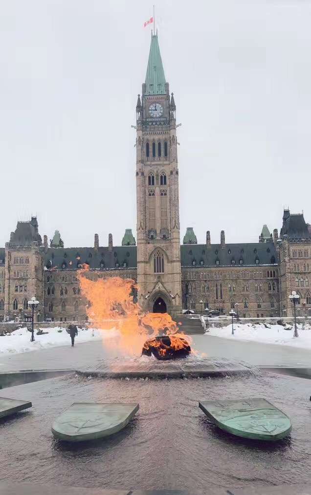 为什么不推荐留学生做代购,加拿大留学可以代购吗