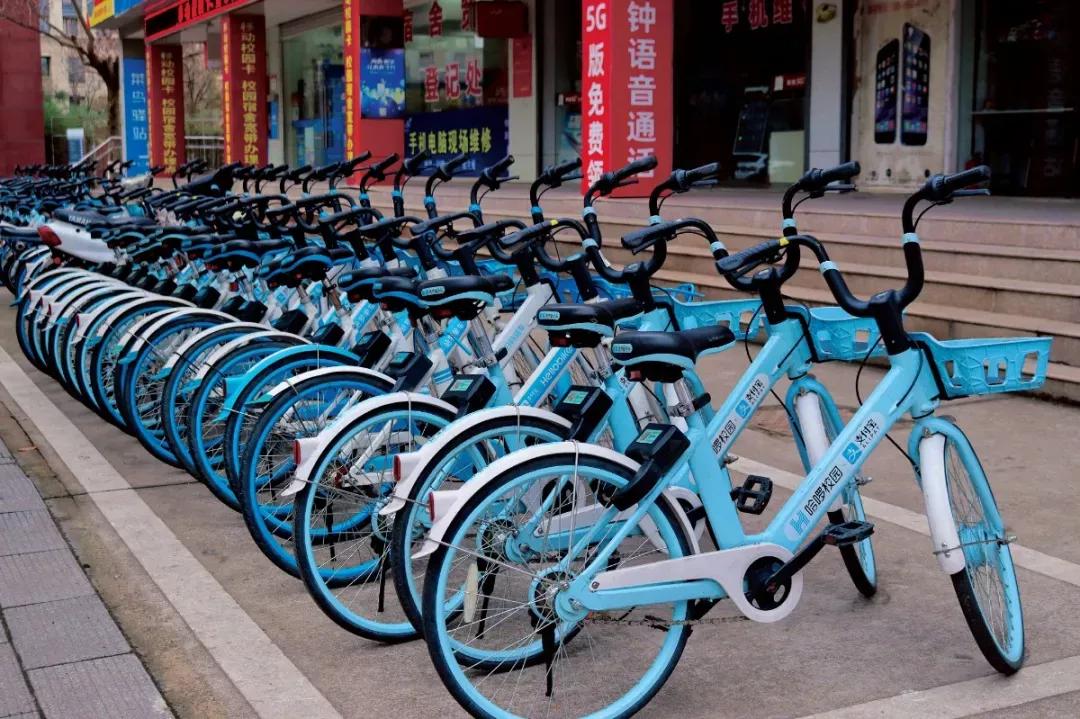 江苏省33所高校排名,江苏省300分大专院校