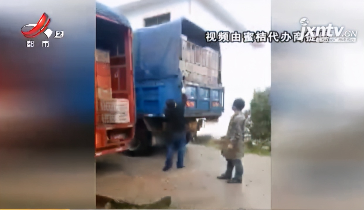 南丰县蜜桔收购,南丰蜜桔大量收购