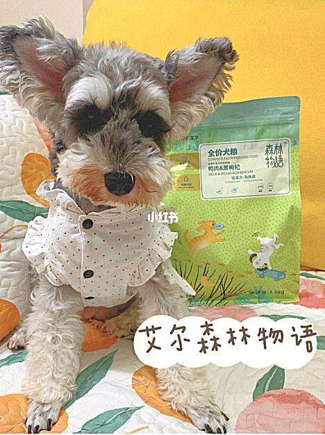 小红书推荐猫粮,猫粮小红书达人