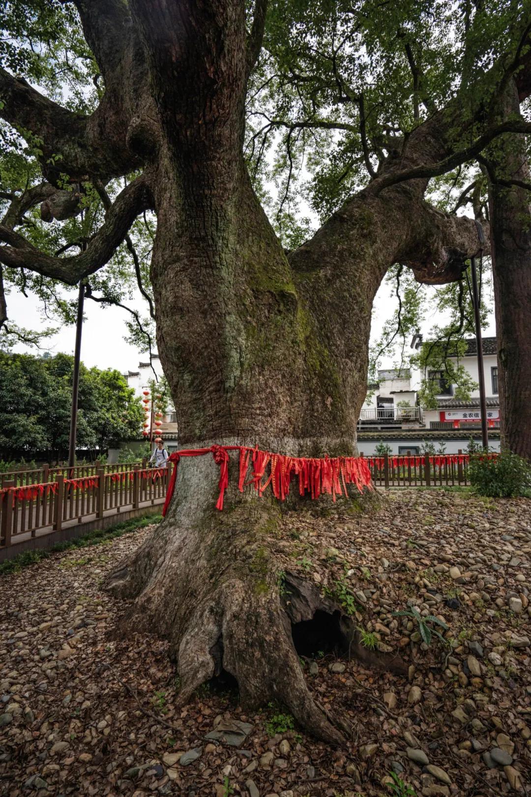歙县寻古三日游最佳路线,念念不忘自驾游