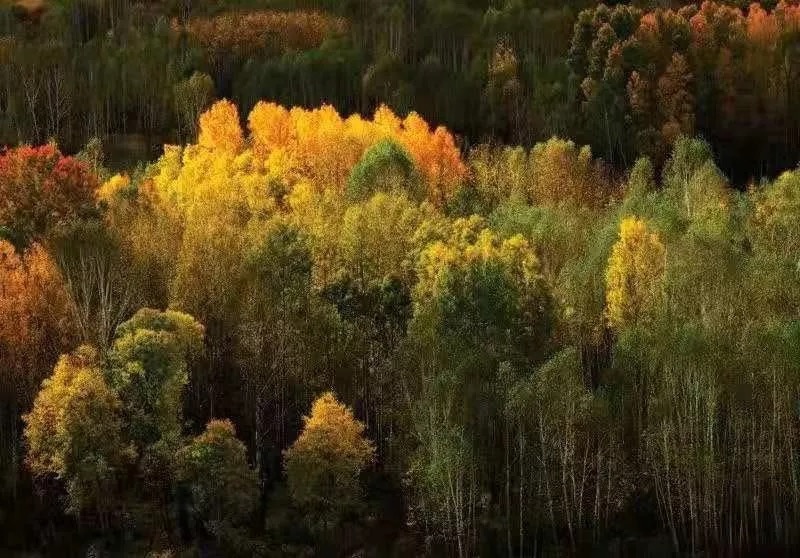 WE+酷窝“创事迹”——“走过全国150+城市，我还是决定创业！”