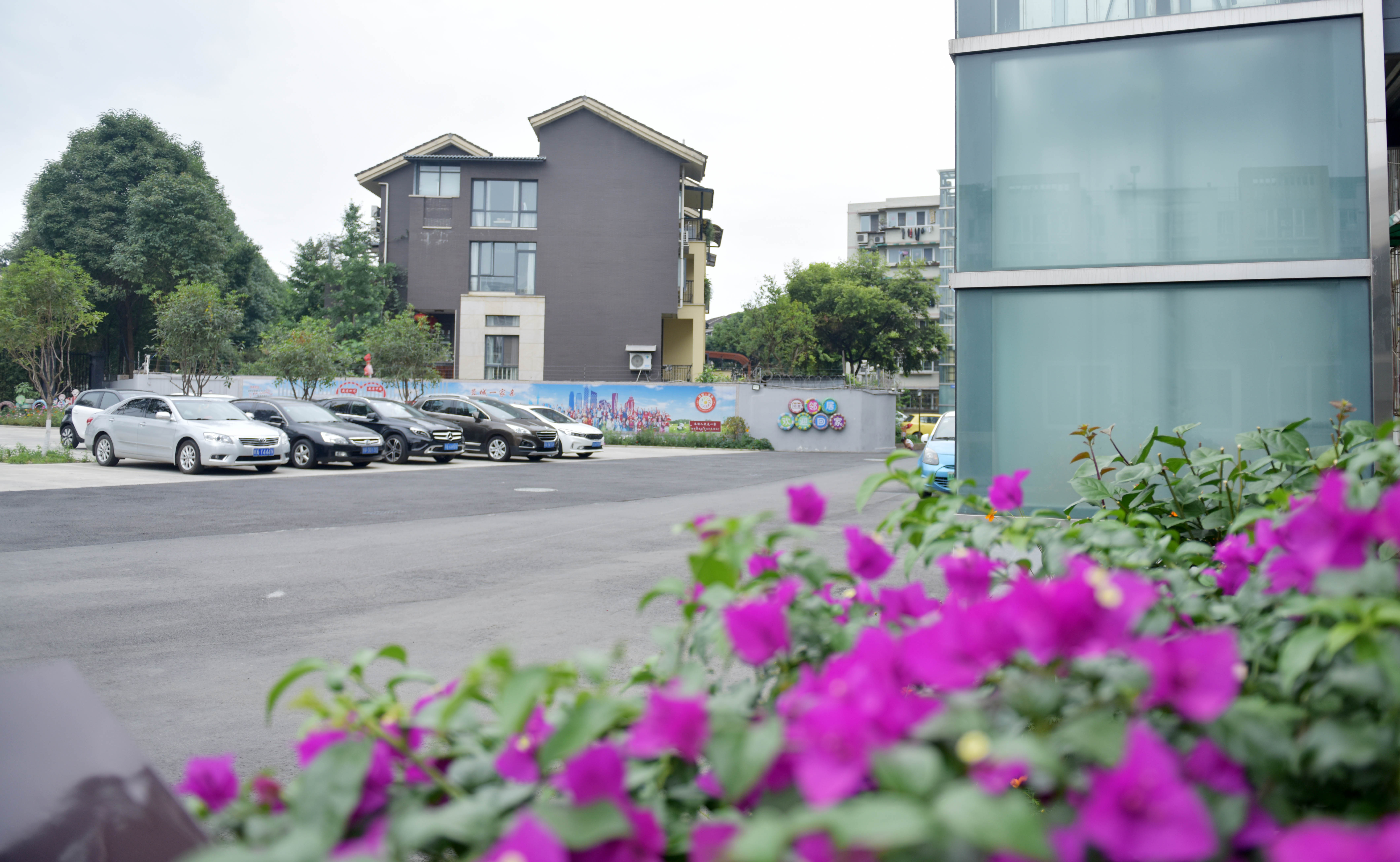 双流区未来发展潜力,双流区经济发展全国排名