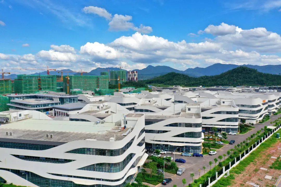 持续大热！为什么谢岗总是备受东莞青睐？