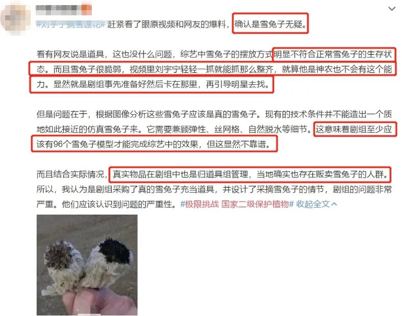 刘宇宁这么接地气吗,如何评论刘宇宁的颜值