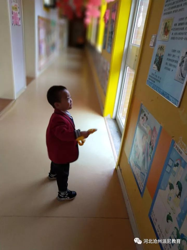 爱上幼儿园第一季全集,爱上幼儿园