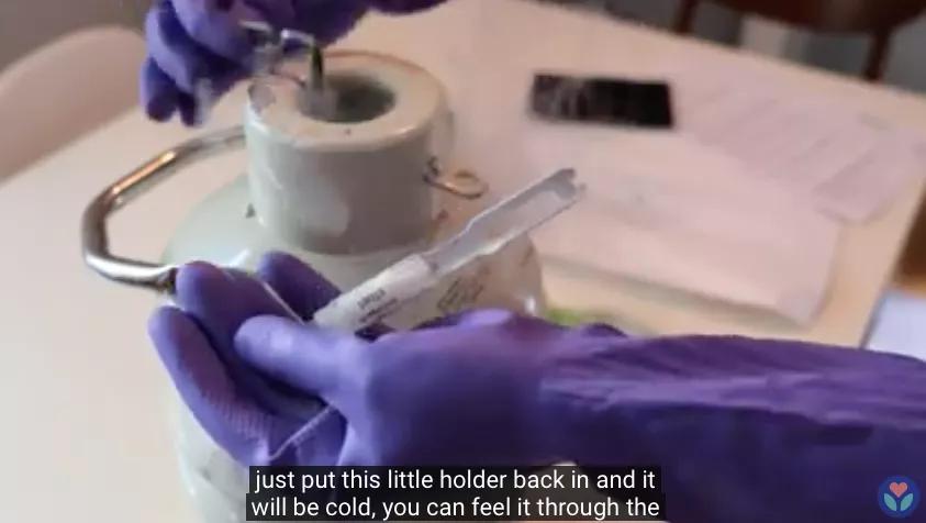 人工授精太贵,英国女子购买针筒看视频自学DIY,居然一次成功了