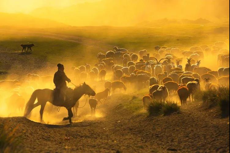 迁徙的家园，马背上的诗