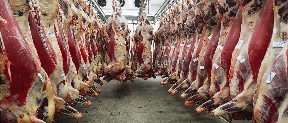 切牛排出血是什么原因,切牛排流下的红色汁水