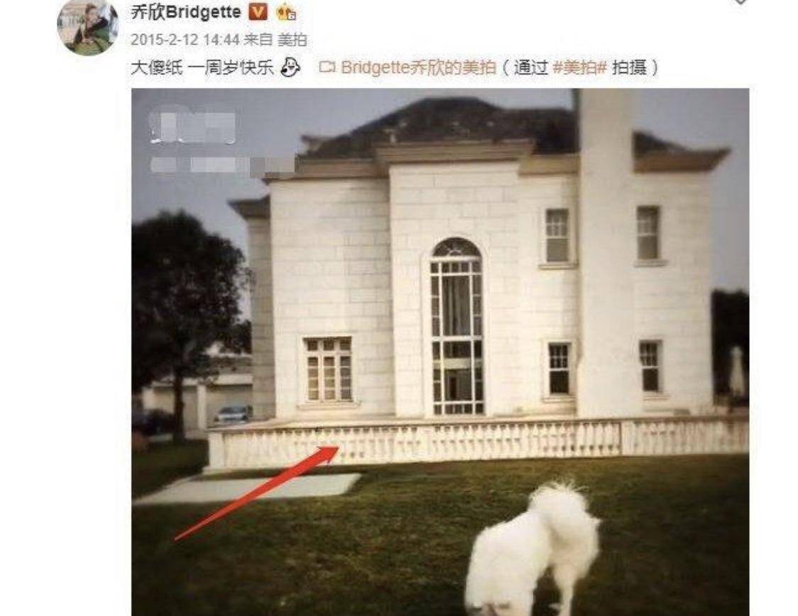 盘点娱乐圈白富美:虞书欣一般乔欣中等,鲜少露面的綦美合最富有