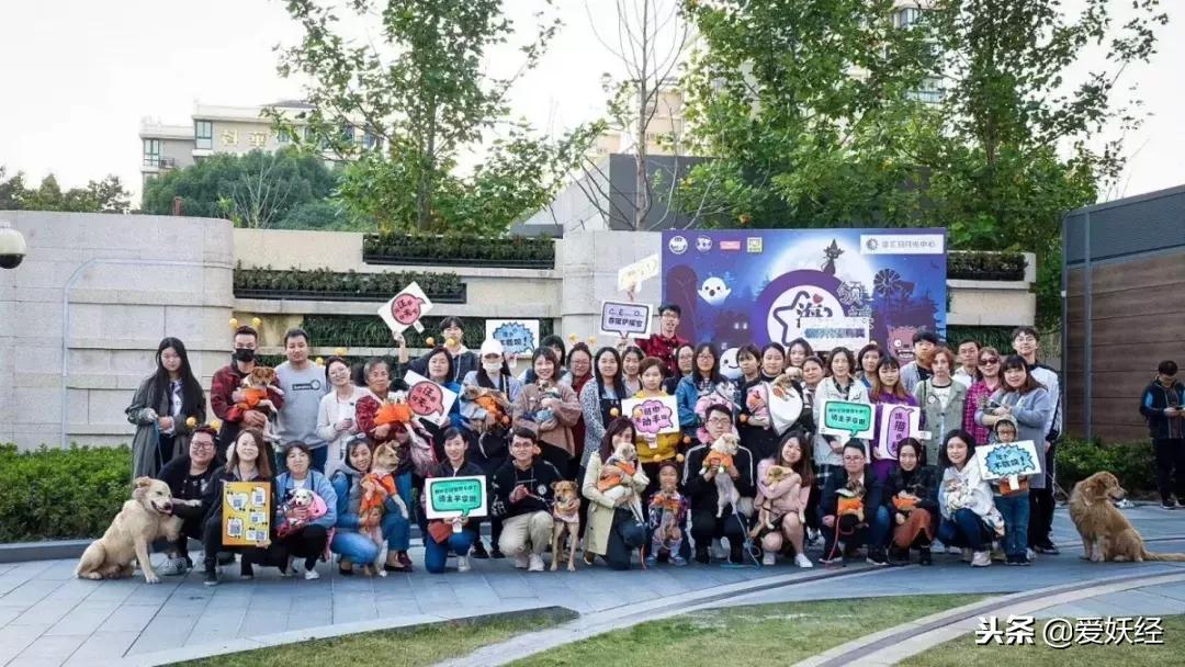 万圣节不给糖果就捣蛋男孩,万圣节不给糖就捣蛋儿童视频