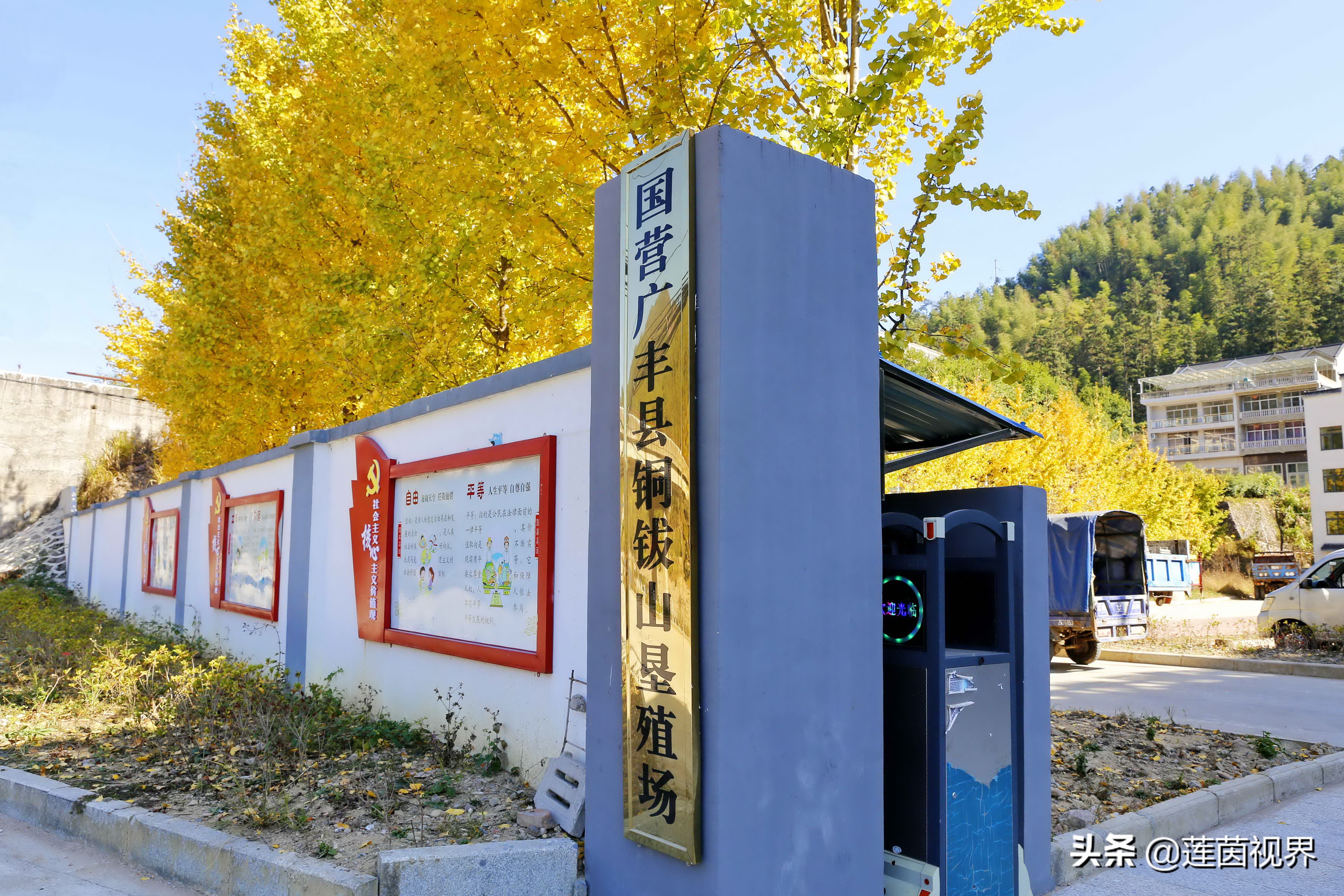 铜钹山夏天旅游哪里好玩,探险铜钹山原始森林
