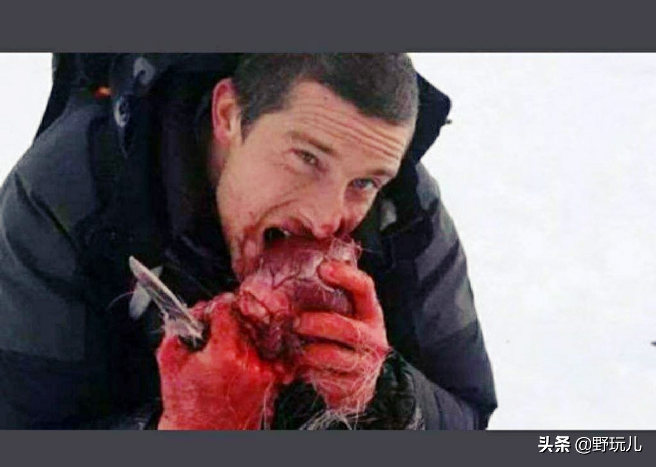 冲锋衣三合一discovery,贝爷穿的户外冲锋衣什么品牌