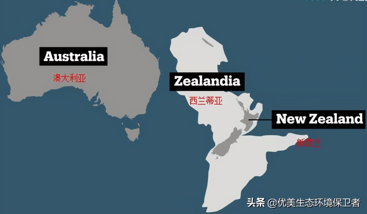 世界第8大洲,世界第八大洲纪实