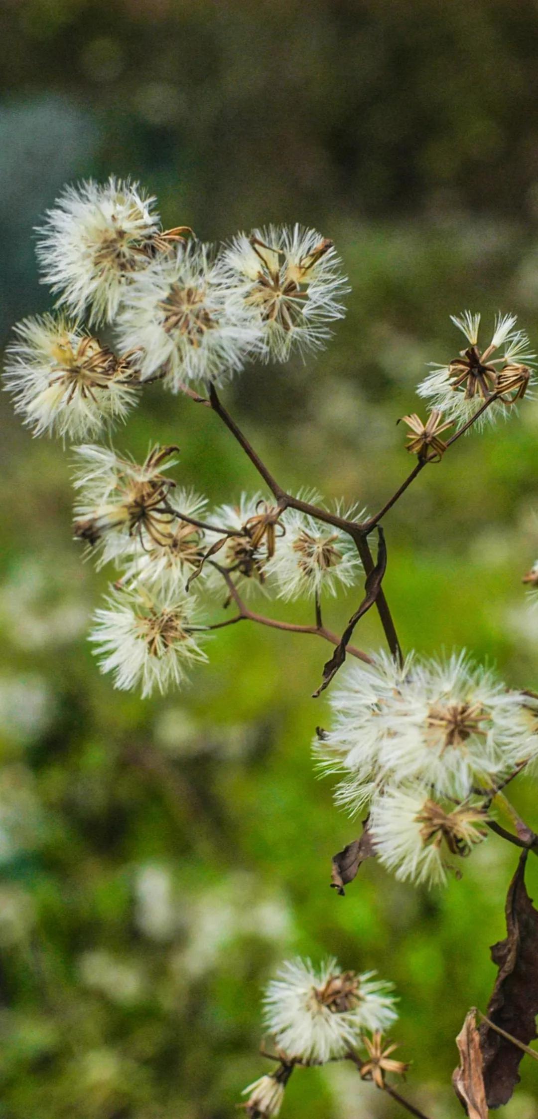 去学摄影花费2w到底值不值得,想学摄影不知道从哪里入手