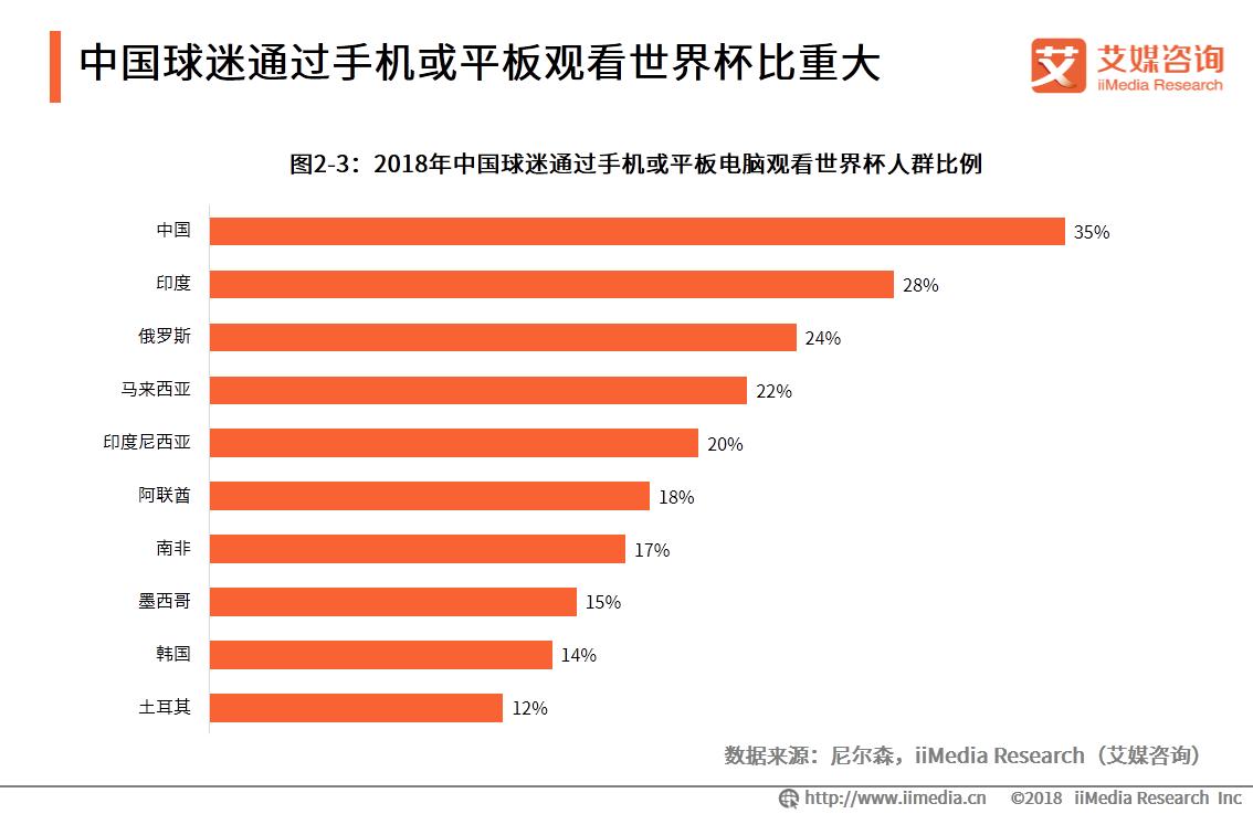 中国足球发展研究报告,足球产业投资分析