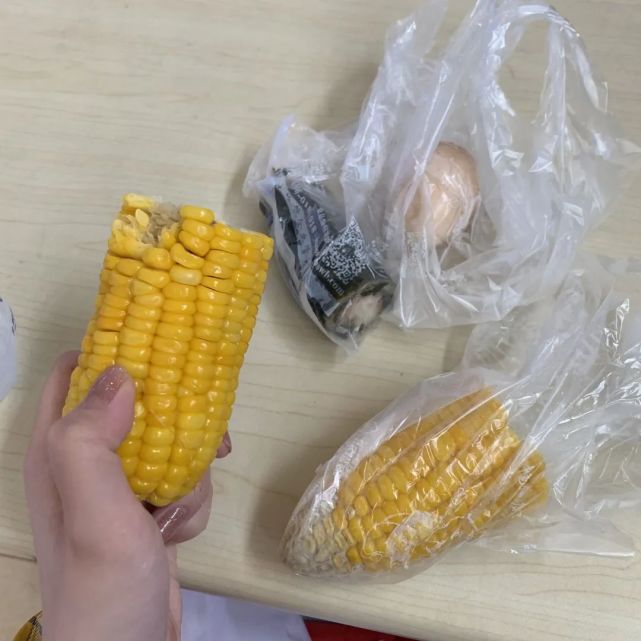 广东岭南职业技术学院2024分数,广东岭南职业技术学院志愿填报