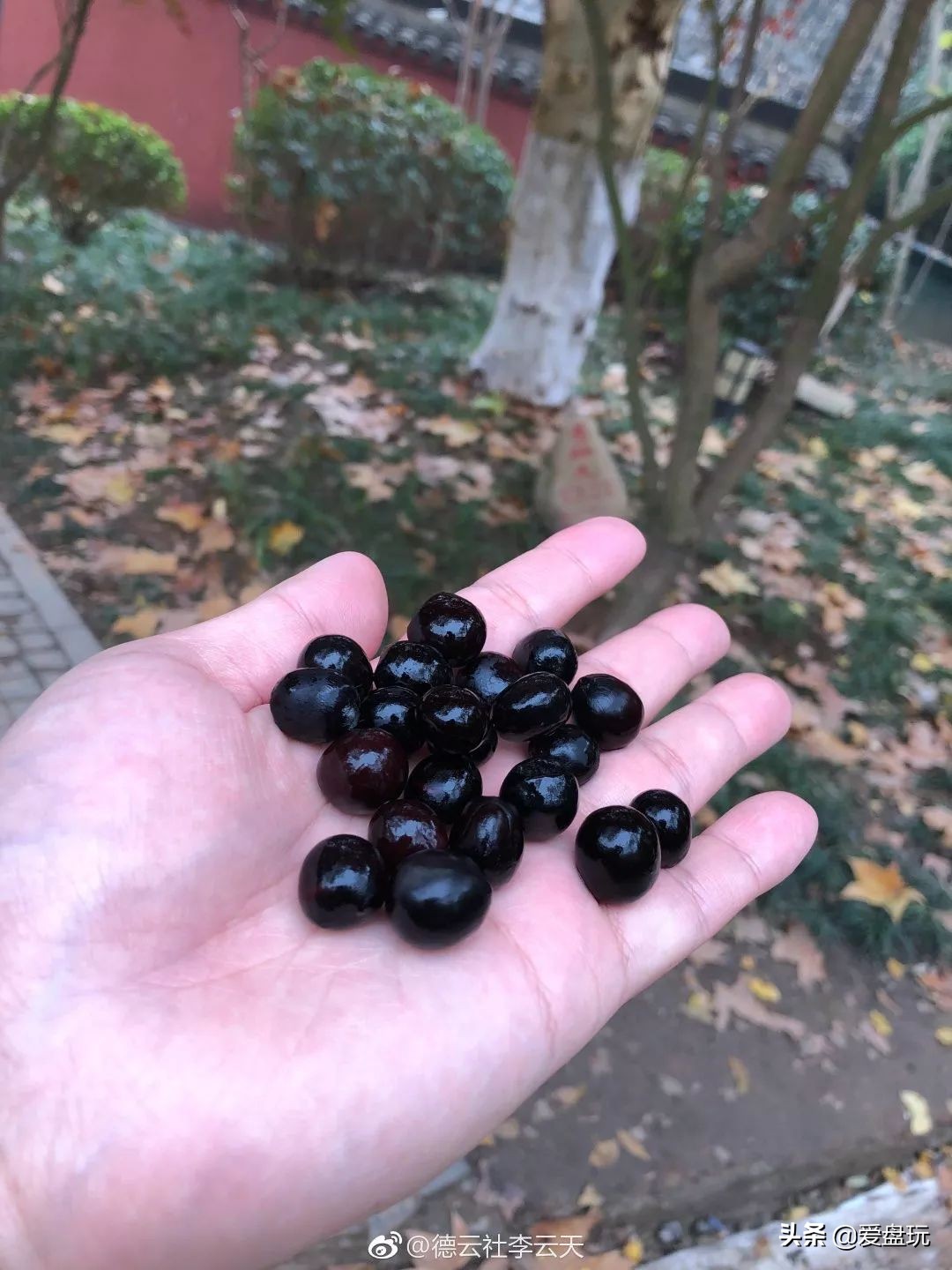 便宜且能盘出包浆的手串,十种最耐玩的手串