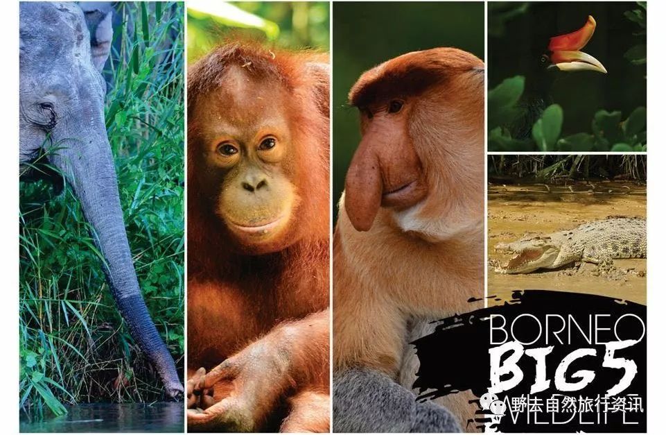 希望疫情早点结束能陪孩子多走走,待疫情彻底过去