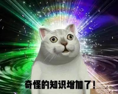 这是一堂迟到的性教育课！来不及解释了，快上车