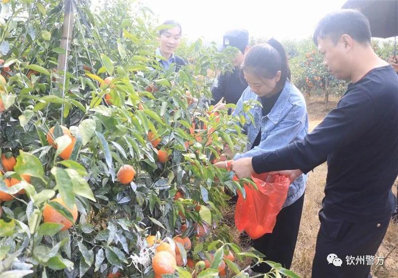 刑警队党支部抗击疫情,支部助力疫情防控工作开展情况