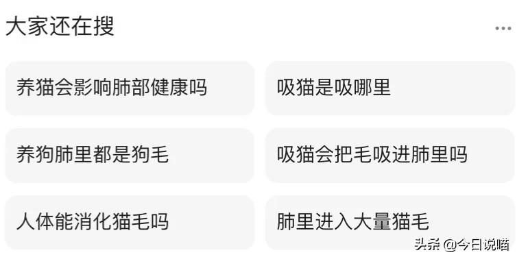 养猫咪的人肺里有猫毛吗,养猫后总觉得喉咙有猫毛