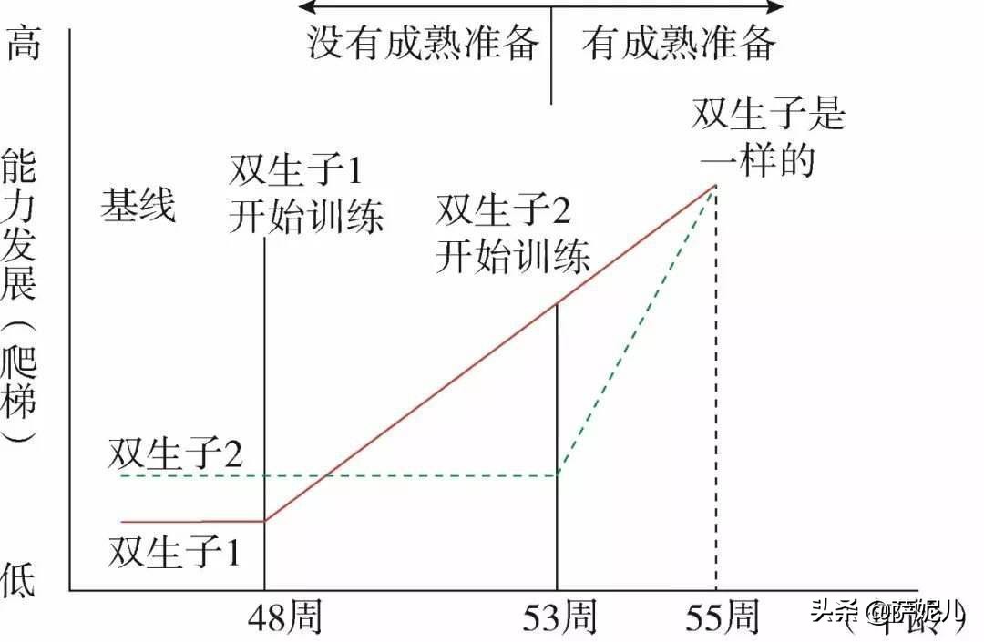 孩子总坐不住，是多动症？《读懂孩子》：孩子认知神经发育不完善