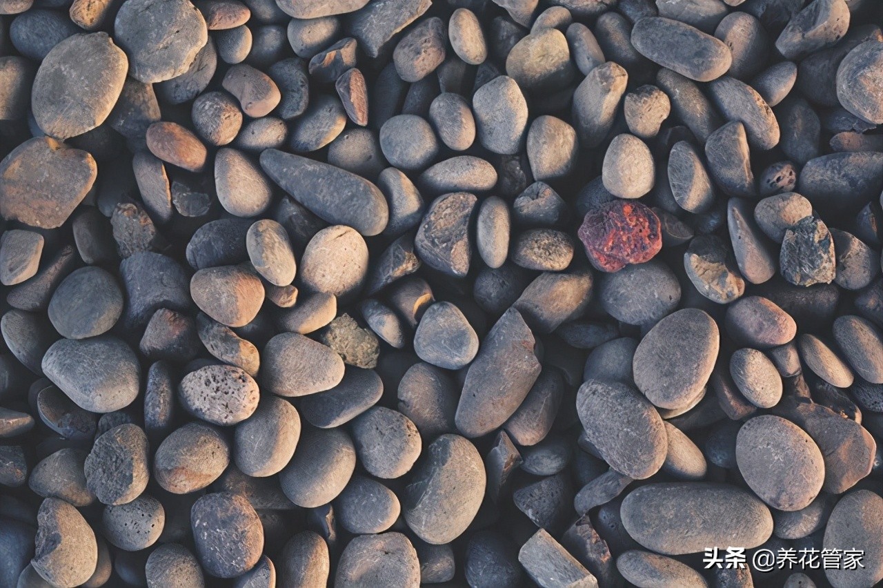 十大园林景观石的特征产地及应用,十大景观石排名