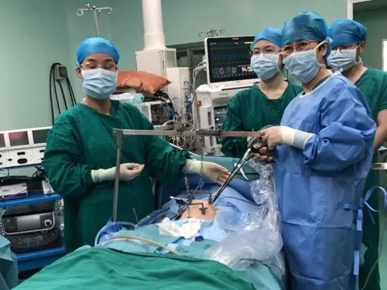 畸胎瘤里面为什么有毛发和骨骼,畸胎瘤为什么有毛发和骨骼