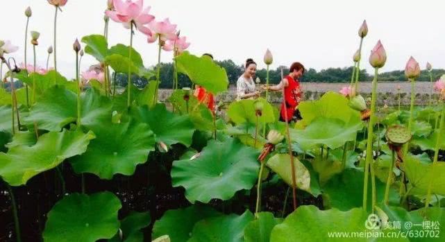 西乡周边景色美的地方,西乡哪里有夜景好看的