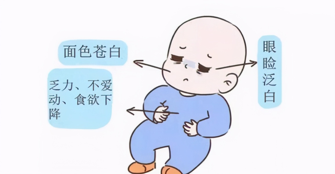 周岁宝宝缺铁性贫血怎么治疗,缺铁性贫血一个月能补多少克血