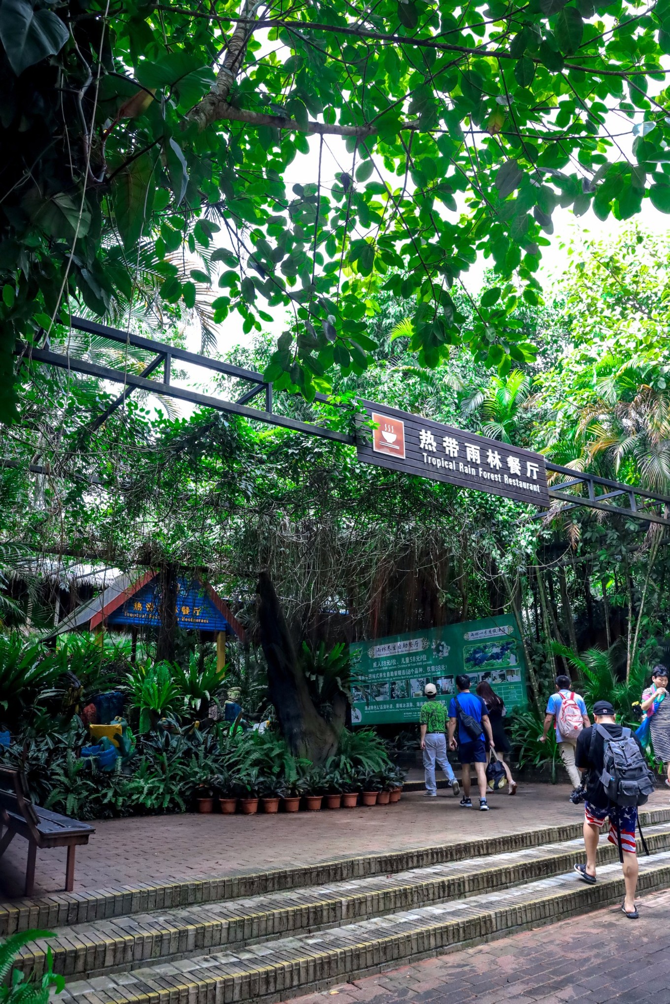 呀诺达雨林探险是什么,三亚呀诺达雨林正规吗