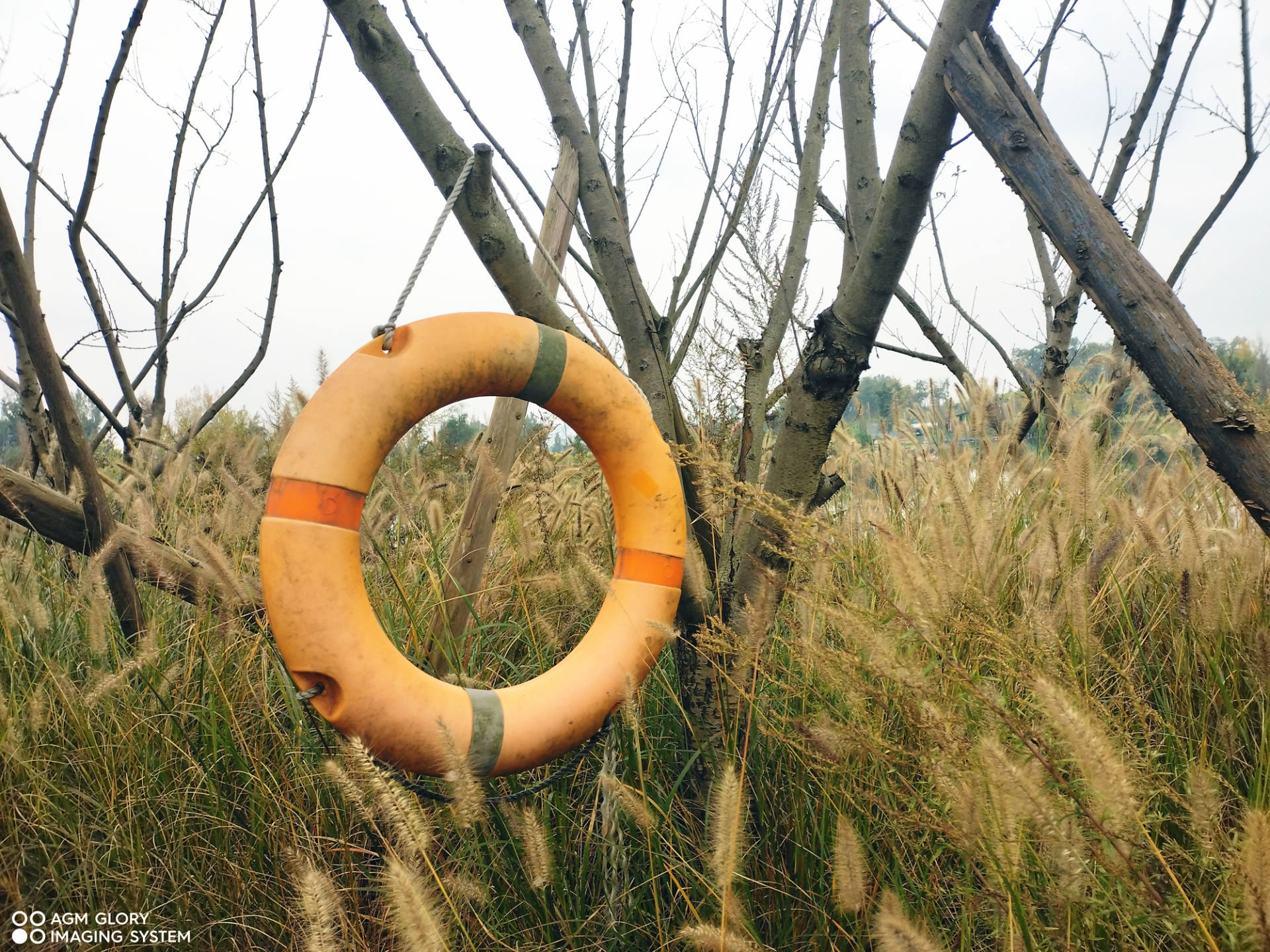 agmg1pro手机值得买吗,agmg1pro