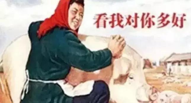 二胎家庭老二霸道怎么办,二胎已掌握了在家里的生存之道