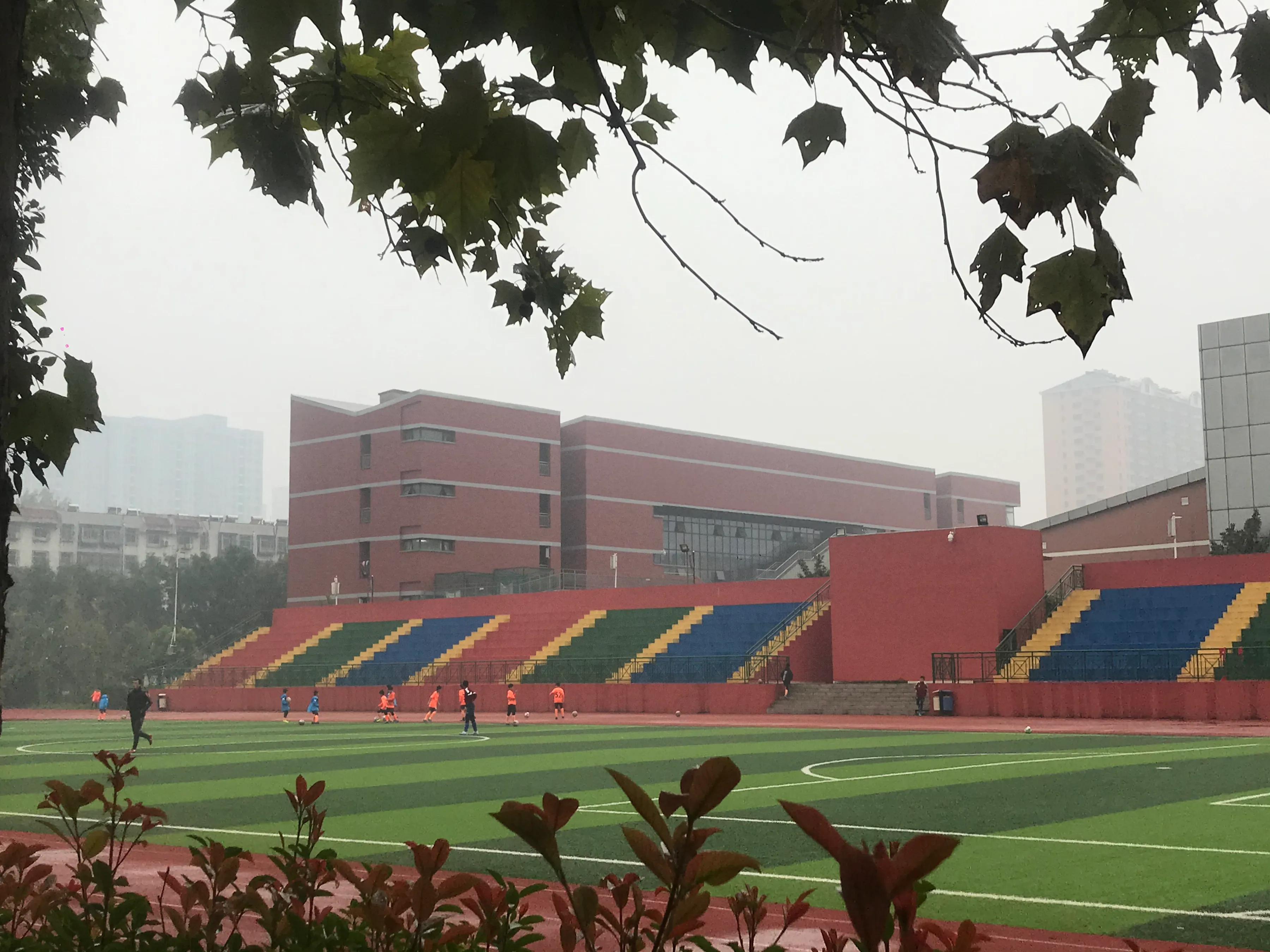 今天我把他们爸爸、我那个猪队友给吼了