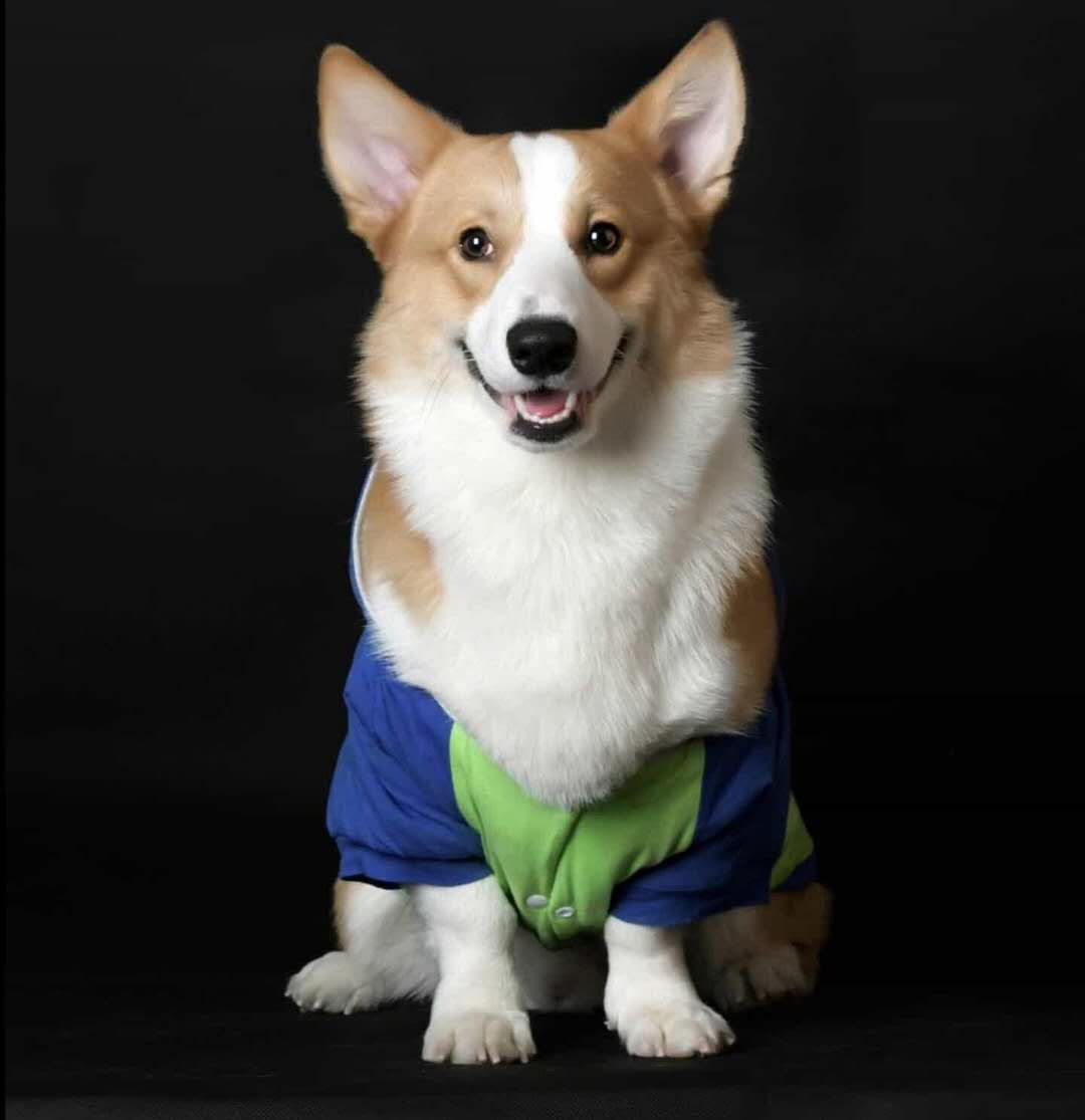 狮子大开口是很棒的销售策略，搭配帮助客户解决最后问题效果不错