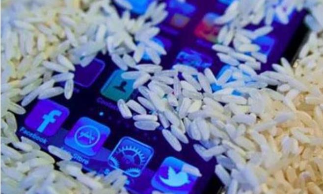 手机掉水里了黑屏了应该怎么处理,手机掉水里没有声音快速处理方法