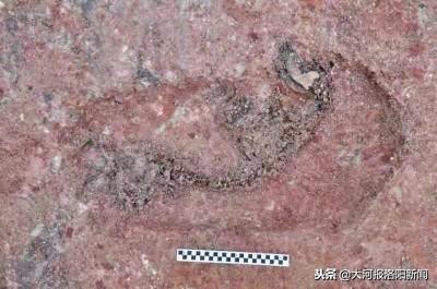 殷商考古发现,殷墟考古纪录