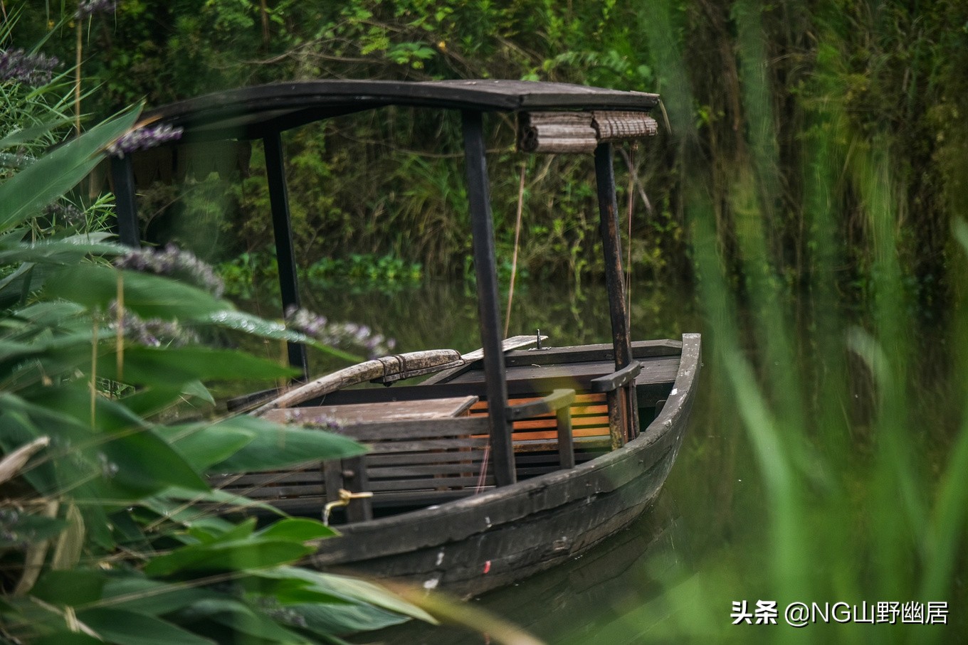 流传近百年的“西溪且留下”，究竟是何种意境？可到杭州亲身感受