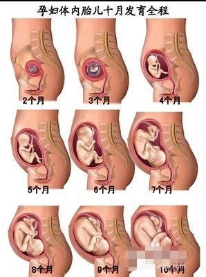 揭穿科学的面纱,走近科学令人无法接受的科学真相