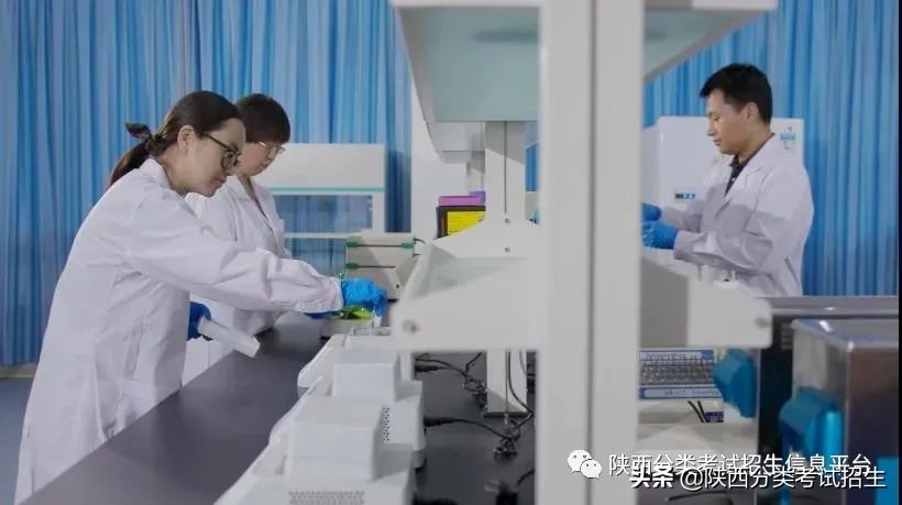 两汉三国,真美汉中|汉中职业技术学院